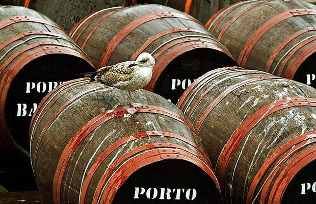 Seagull wine – Arctic Circle Not something you’re likely to find down your local Brakespeares, seagull wine is an invention of Inuits in desperate need of a drink during those cold Arctic nights. Simply stuff a dead seagull (in bits, or whole) into a bottle of water and leave in the sun. Other grim alcoholic drinks include snake wine and vodka sweetened with insects such as bumblebee and locust – both found in Vietnam. 