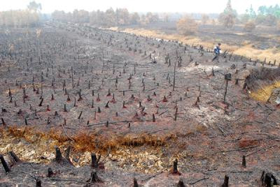 ...Và lưỡi lửa biến mọi thứ thành tro tàn...