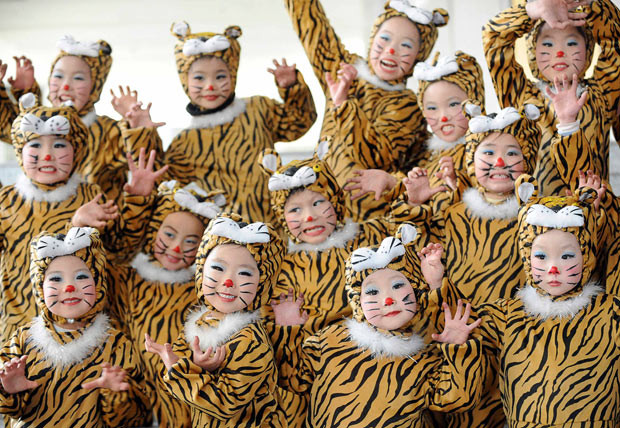 Children wear tiger make-up and costumes during a performance to celebrate the upcoming Chinese New Year in Bozhou, Anhui province, China. The year of the tiger begins on 14 February