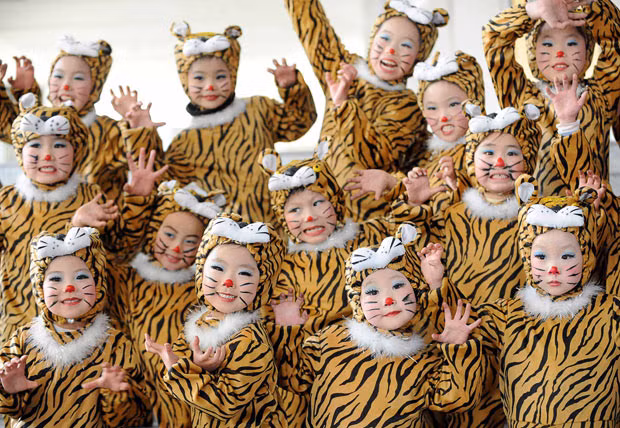 Children wear tiger make-up and costumes during a performance to celebrate the upcoming Chinese New Year in Bozhou, Anhui province, China. The year of the tiger begins on 14 February