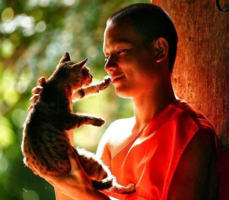 Làm người không cần quá toàn vẹn, chỉ cần có lương thiện - Ảnh 1 Lam nguoi khong can qua toan ven, chi can co luong thien - Anh 1