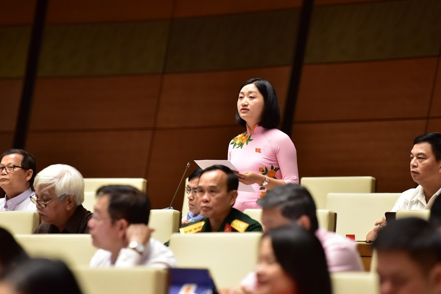 Đại biểu Triệu Thanh Dung