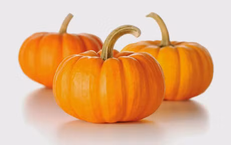 Nhung loi ich khong ngo cua bi do doi voi suc khoe - Anh 1