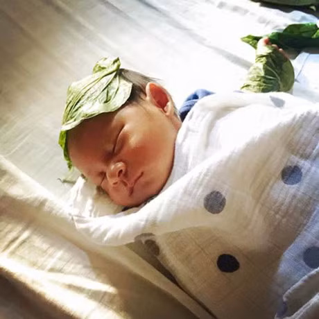 La trau khong: kim ham ung thu, sat khuan… tot hon ca khang sinh ma van an toan - Anh 2