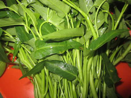 Những thực phẩm bạn cần nói Nhung thuc pham ban can noi