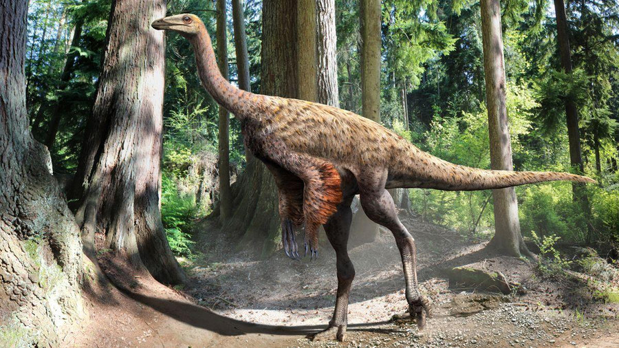 Minh họa về loài Ornithomimus (họ hàng của loài Ornithomimosaurs trong nghiên cứu mới) dựa trên mẫu hóa thạch có lông đuôi và mô mềm. Ảnh: Julius Csotonyi.