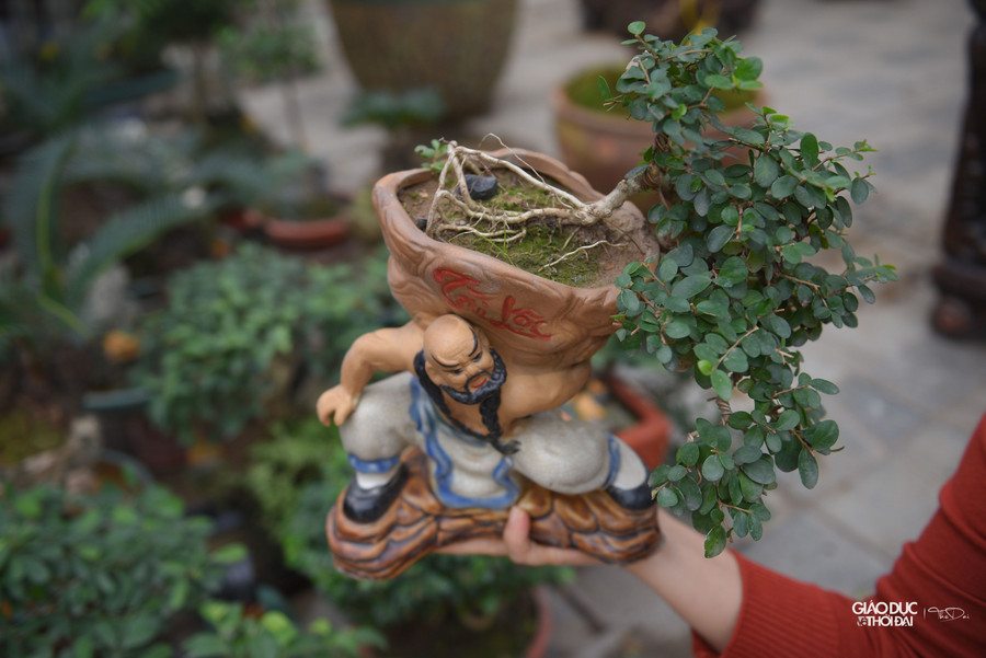 Giá mỗi cây tại nơi đây dao động từ vài trăm ngày đến hơn chục triệu đồng. Giá mỗi cây tại nơi đây dao động từ vài trăm ngày đến hơn chục triệu đồng.