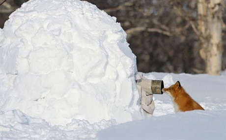 De co nhung shoot hinh dep, can phai co nhung con nguoi dung cam nhu the nay - Anh 4