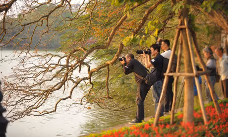Me hoac dang chieu dat vang Ho Guom - Anh 16