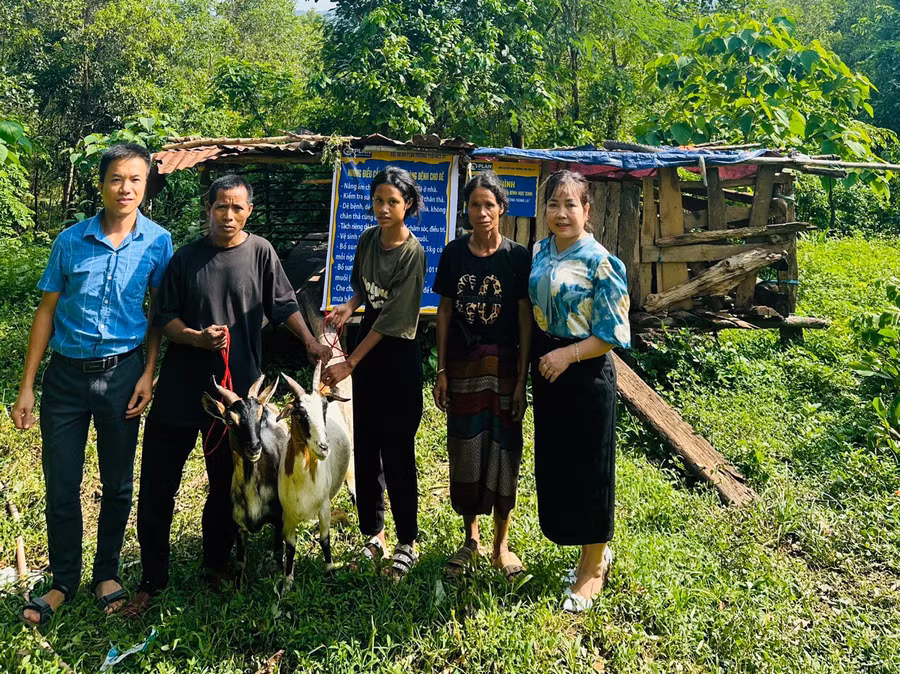 Dự án hỗ trợ dê thực hiện xoay vòng, sau 1 năm nhà trường sẽ chọn học sinh khác hỗ trợ.
