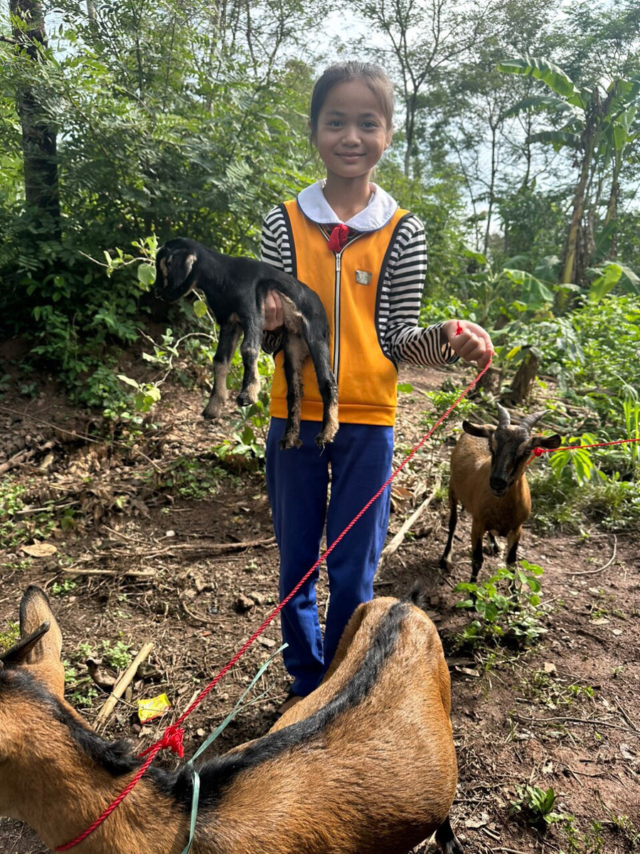 Học sinh vui mừng khi 2 dê giống sinh sản thêm dê con.