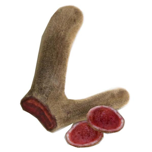 Nhung hươu Nhung hươu