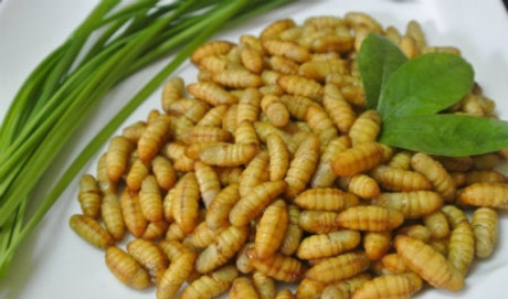 Những món ăn chữa liệt dương, tăng cường sinh lực ở nam giới - Ảnh 3 Nhung mon an chua liet duong, tang cuong sinh luc o nam gioi - Anh 3