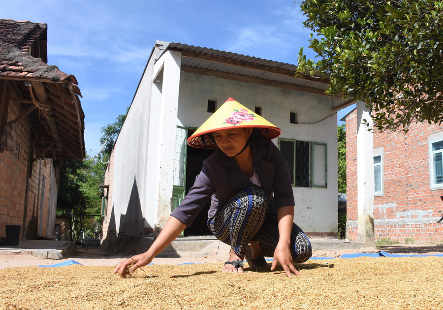Nhờ áp dụng khoa học kĩ thuật vào sản xuất nên nhiều hộ dân dần thoát nghèo. Nhờ áp dụng khoa học kĩ thuật vào sản xuất nên nhiều hộ dân dần thoát nghèo.