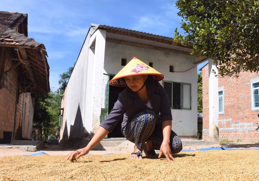 Nhờ áp dụng khoa học kĩ thuật vào sản xuất nên nhiều hộ dân dần thoát nghèo.