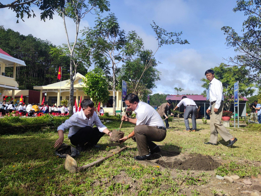 Nhà trường trồng cây xanh nhằm giáo dục học sinh phải biết yêu thiên nhiên, gìn giữ và bảo vệ rừng.