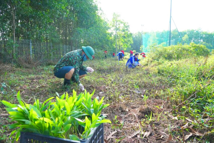 Các loại cây trồng được bảo vệ và chăm sóc cẩn thận, đảm bảo 100% đề sống và phát triển.