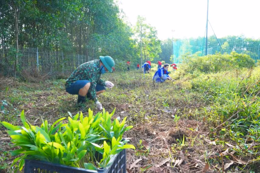 Các loại cây trồng được bảo vệ và chăm sóc cẩn thận, đảm bảo 100% đề sống và phát triển. Các loại cây trồng được bảo vệ và chăm sóc cẩn thận, đảm bảo 100% đề sống và phát triển.