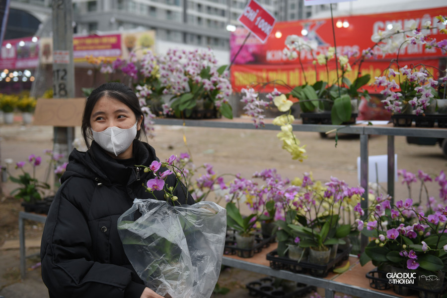 Những chậu lan giá trước kia khoảng 300 ngàn giờ bán đồng giá 100 ngàn đồng.