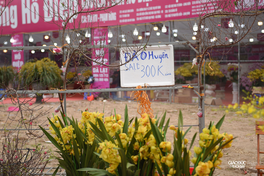 Năm nay đến 29 Tết người dân mới được nghỉ nên nhiều cửa hàng áp dụng giảm giá từ 20 - 30% cho khách hàng, với hy vọng dù lãi ít nhưng bán được nhiều hàng để tránh gặp cảnh 30 Tết phải &quot;bán tống bán tháo&quot;.