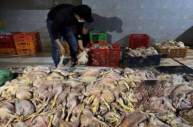 Những hình ảnh kinh hãi bên trong cơ sở.