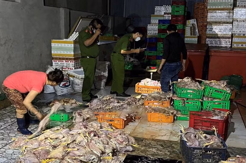 Lực lượng chức năng tiến hành kiểm tra bên trong cơ sở.