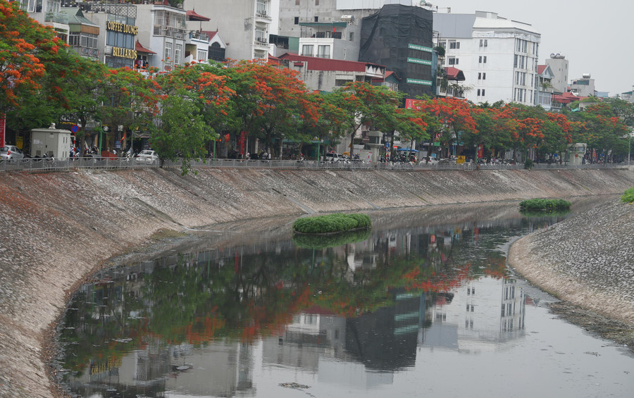 Hiện trạng dòng sông 'chết', màu nước đen ngòm quanh năm. Hiện trạng dòng sông 'chết', màu nước đen ngòm quanh năm.