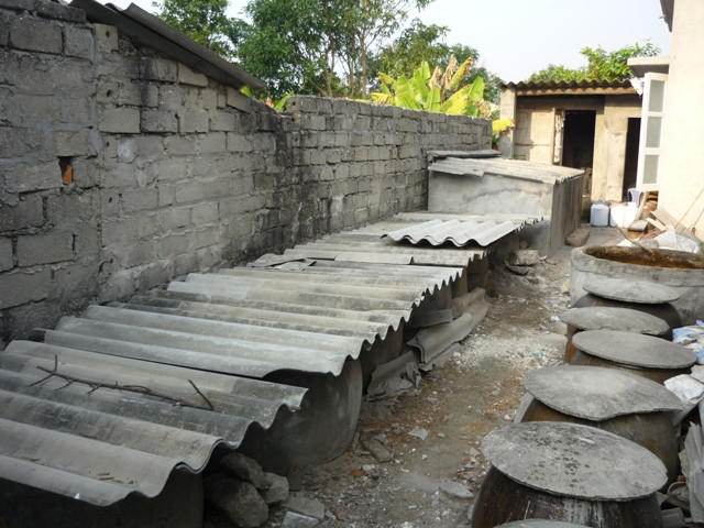Hàng chum làm mắm xếp dọc sân nhà