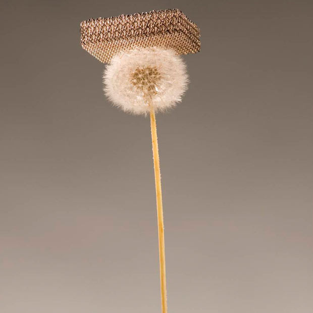 A new metal developed by a team of researchers from the University of California at Irvine, HRL Laboratories and the California Institute of Technology is pictured resting on a dandelion fluff without damaging it. The metal, which is about 100 times lighter than styrofoam, is the world’s lightest material, according to a press release by the team. Their findings will be published in the November 18, 2011 issue of 