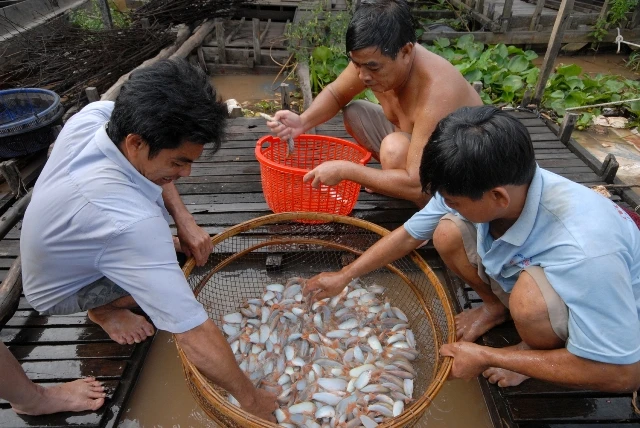 Tỷ phú cá heo nước ngọt