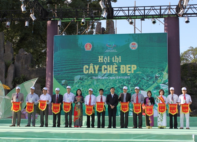 &quot;Cây Chè Việt Nam với thời gian&quot; ảnh 1