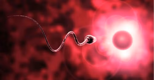 Giải mã những bí mật về "tinh binh"