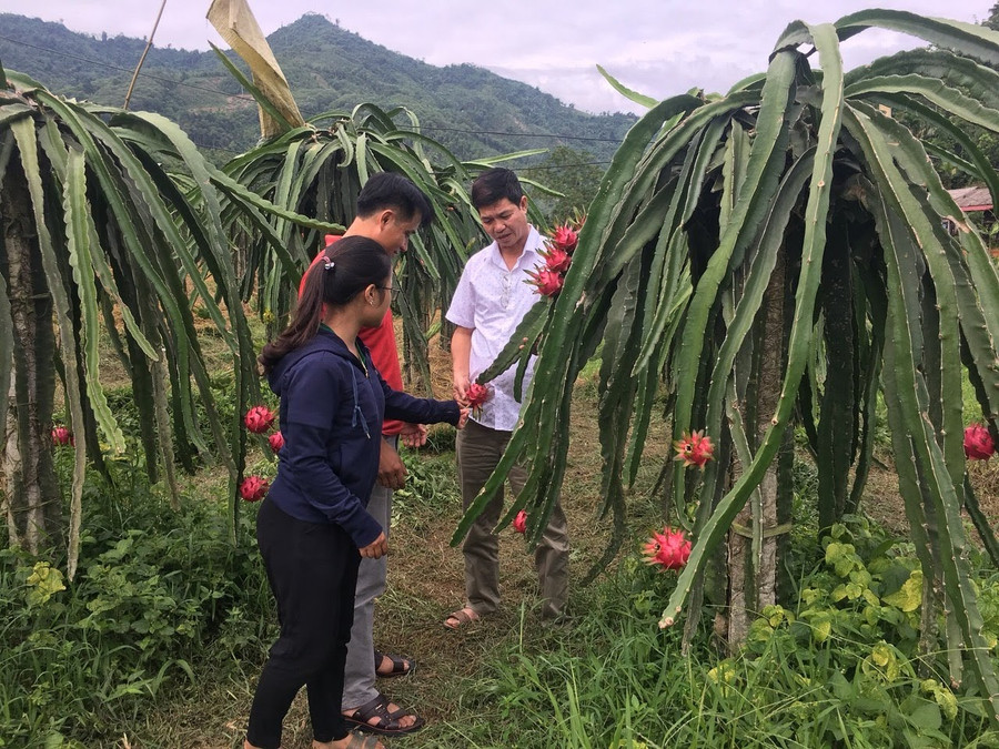 Chú trọng phát triển kinh tế nông nghiệp góp phần giảm nghèo bền vững tại Hưng Thịnh Chú trọng phát triển kinh tế nông nghiệp góp phần giảm nghèo bền vững tại Hưng Thịnh