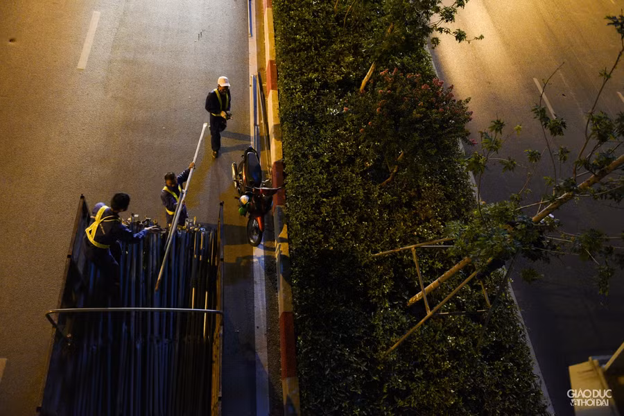Hà Nội: Hàng cây phong lá đỏ được di dời trong đêm ảnh 6