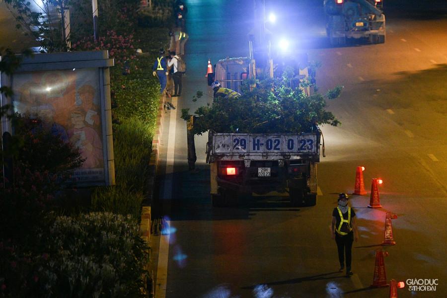 Tính đến thời điểm hiện tại, hàng cây phong chưa 1 lần đỏ lá.