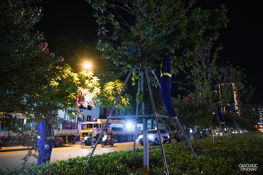 Công nhân tháo khung đỡ cây.