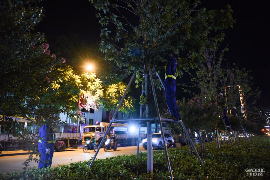 Công nhân tháo khung đỡ cây.