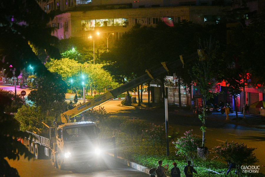 Tạm thời hàng phong lá đỏ sẽ được đưa về vườn ươm. Sau đó, sẽ xin ý kiến từ các chuyên gia rồi sẽ báo cáo lên Sở Xây dựng Hà Nội, từ đó mới tiến hành các phương án thích hợp, ông Mạnh cho biết.