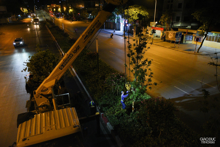Hàng cây phong lá đỏ từng được kỳ vọng biến đường Nguyễn Chí Thanh và Trần Duy Hưng thành tuyến đường đẹp, lãng mạn nhất thủ đô.