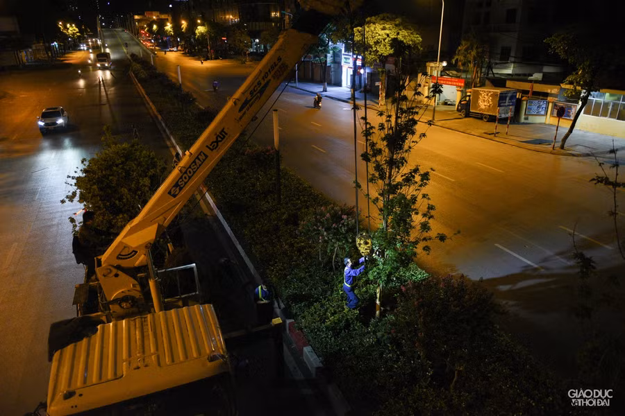 Hàng cây phong lá đỏ từng được kỳ vọng biến đường Nguyễn Chí Thanh và Trần Duy Hưng thành tuyến đường đẹp, lãng mạn nhất thủ đô.