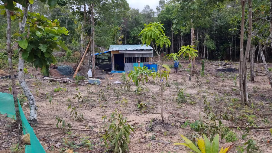 Để giữ đất đã bao chiếm, tránh người khác tranh giành, có đối tượng đã cất nhà ở canh giữ.