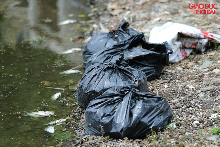 Những túi ni lông được để rải rác xung quanh hồ rất nhiều.