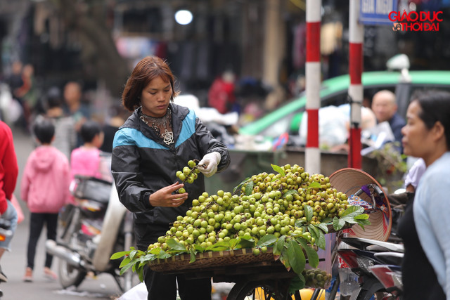 Mọi loại quả bầy biện trong mâm ngũ quả đều có thể tìm thấy tại nơi đây.