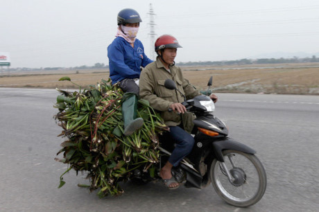 Cười ngất với những kiểu giao thông hài hước nhất quả đất - Ảnh 9 Cuoi ngat voi nhung kieu giao thong hai huoc nhat qua dat - Anh 9