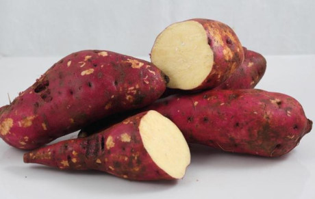 Thuc pham cang an can nang cang giam chi em me tit - Anh 2