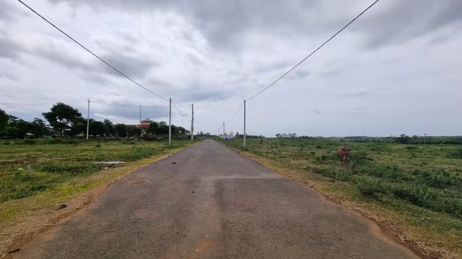 Huyện Gio Linh vừa ra quyết định hủy kết quả trúng đấu giá đối với 41 lô đất.