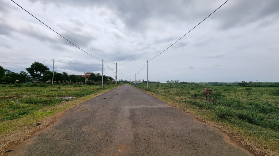 Huyện Gio Linh vừa ra quyết định hủy kết quả trúng đấu giá đối với 41 lô đất. Huyện Gio Linh vừa ra quyết định hủy kết quả trúng đấu giá đối với 41 lô đất.