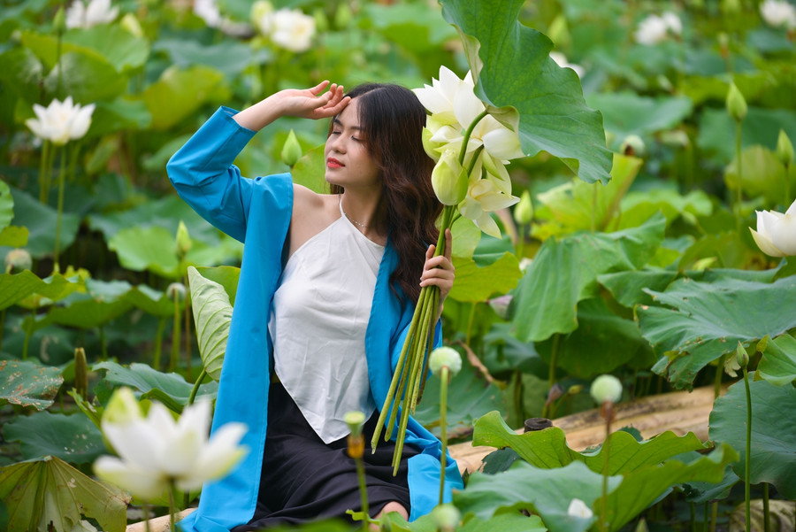 Ngắm đầm Bạch Liên đẹp tinh khôi giữa lòng Hà Nội ảnh 16