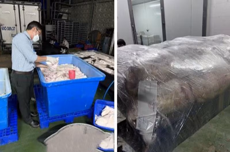 Lực lượng chức năng tiến hành lấy mẫu kiểm định.