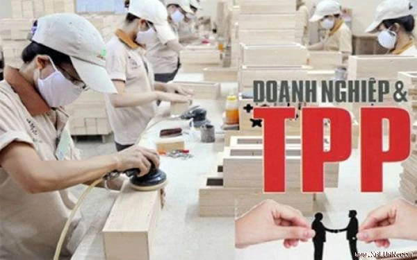 Doanh nghiệp tư nhân trước thách thức TPP